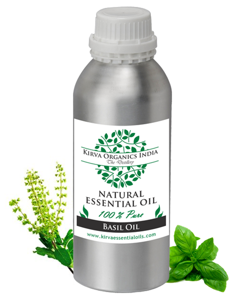 BASIL ESSENTIAL OIL - Kirva Organics India