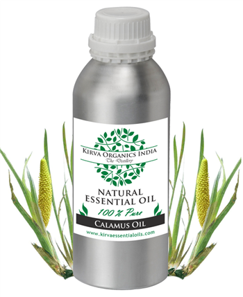 CALAMUS OIL - Kirva Organics India