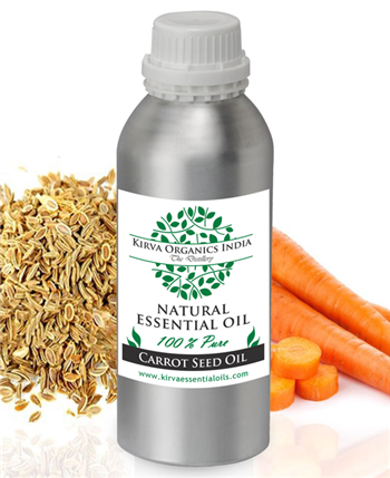 CARROT SEED OIL - Kirva Organics India