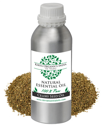 CELERY SEED OIL - Kirva Organics India