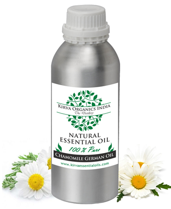 CHAMOMILE OIL (GERMAN)(BUY ONLINE) - Kirva Organics India