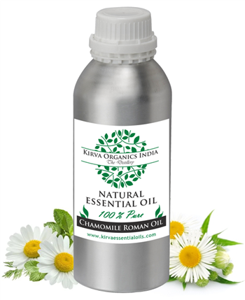 CHAMOMILE OIL (ROMAN) - Kirva Organics India