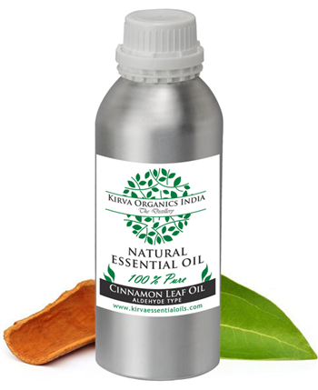 CINNAMON LEAF OIL(BUY ONLINE) - Kirva Organics India