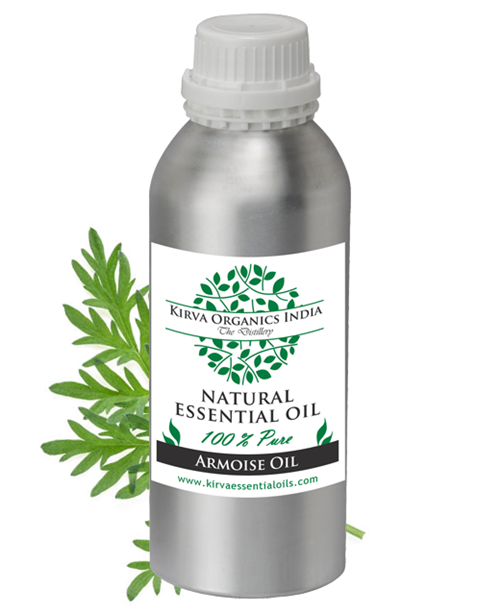 ARMOISE OIL ARTEMISIA HERBA - Kirva Organics India