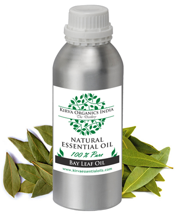 BAY LEAF OIL INDIAN - Kirva Organics India