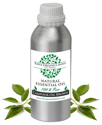 CAMPHOR OIL WHITE - Kirva Organics India