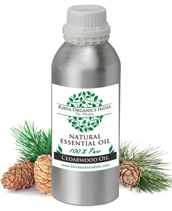 CEDARWOOD OIL(BUY ONLINE) - Kirva Organics India