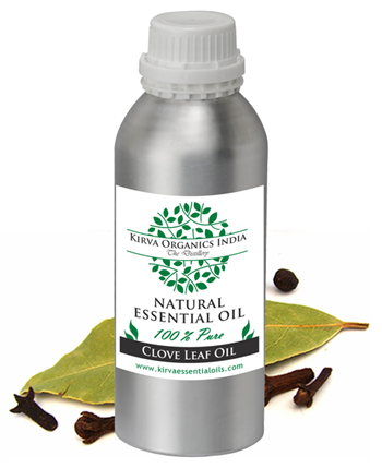 CLOVE LEAF OIL(BUY ONLINE) - Kirva Organics India