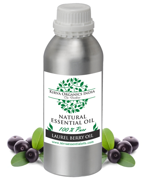 LAUREL BERRY OIL(BUY ONLINE) - Kirva Organics India