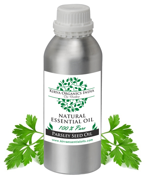 PARSLEY SEED OIL(BUY ONLINE) - Kirva Organics India