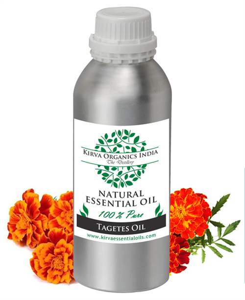 TAGETES OIL - Kirva Organics India