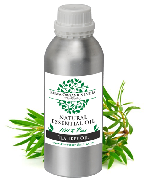 TEA TREE OIL (BUY ONLINE) - Kirva Organics India