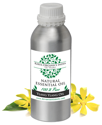 YLANG YLANG OIL( BUY ONLINE) - Kirva Organics India