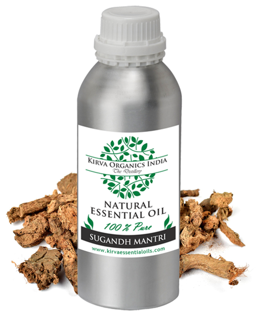 SUGANDH MANTRI - Kirva Organics India