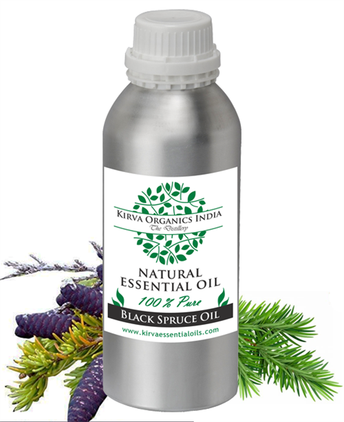 BLACK SPRUCE OIL - Kirva Organics India