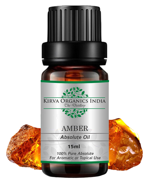 AMBER ABSOLUTE OIL (BUY ONLINE) - Kirva Organics India