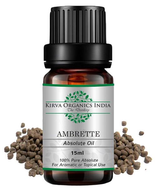 AMBRETTE ABSOLUTE OIL - Kirva Organics India
