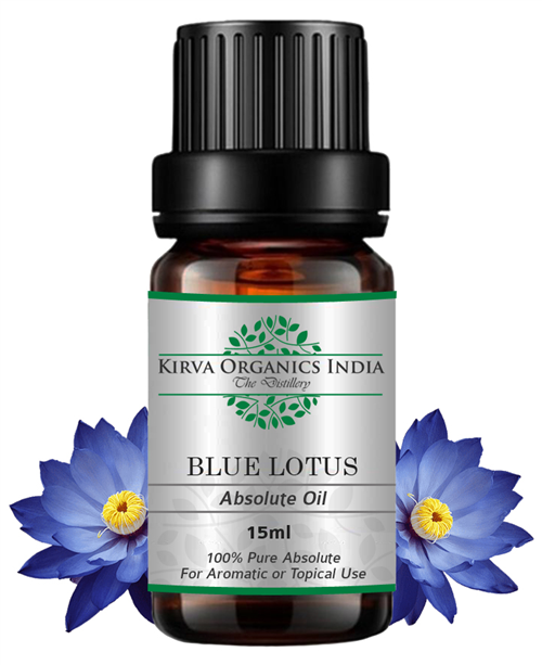 BLUE LOTUS ABSOLUTE OIL - Kirva Organics India