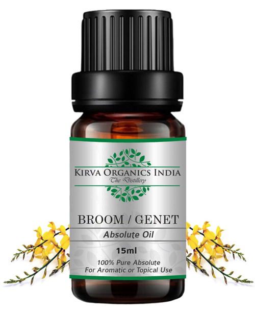 BROOM | GENET ABSOLUTE OIL - Kirva Organics India