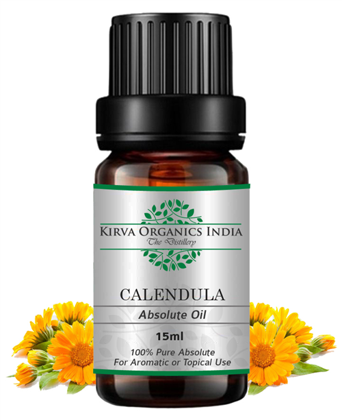 CALENDULA ABSOLUTE OIL(BUY ONLINE) - Kirva Organics India