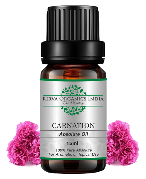 CARNATION ABSOLUTE OIL(BUY ONLINE) - Kirva Organics India