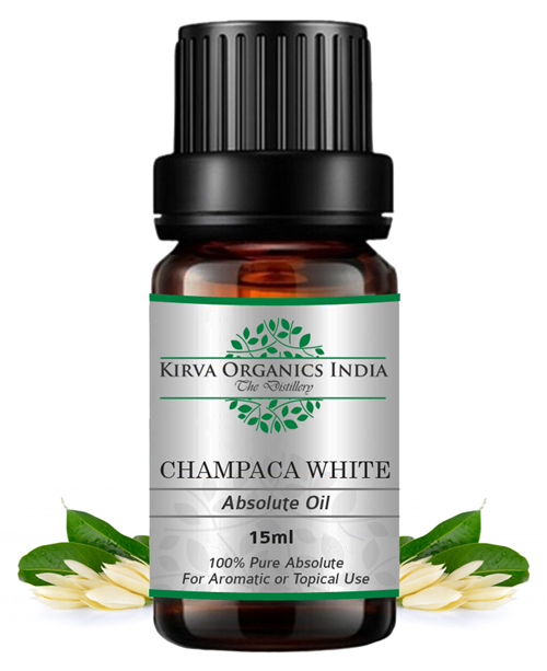 CHAMPACA WHITE ABSOLUTE OIL - Kirva Organics India