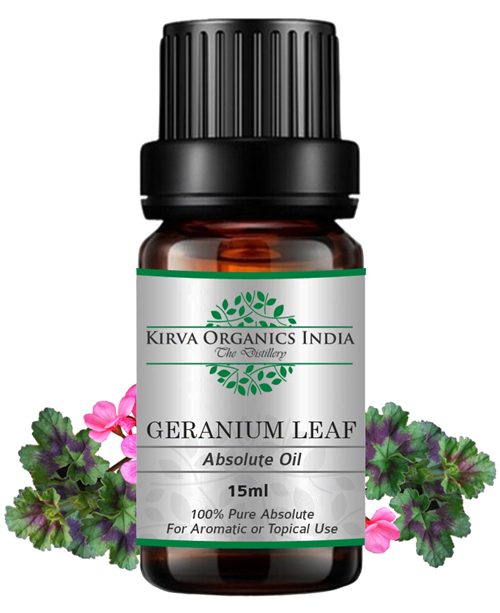 GERANIUM LEAF ABSOLUTE OIL(BUY ONLINE) - Kirva Organics India