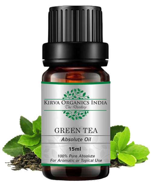 GREEN TEA ABSOLUTE OIL(BUY ONLINE) - Kirva Organics India