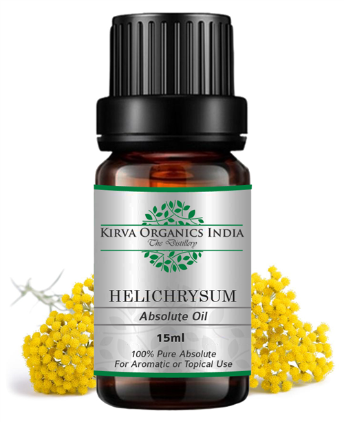 HELICHRYSUM ABSOLUTE OIL - Kirva Organics India