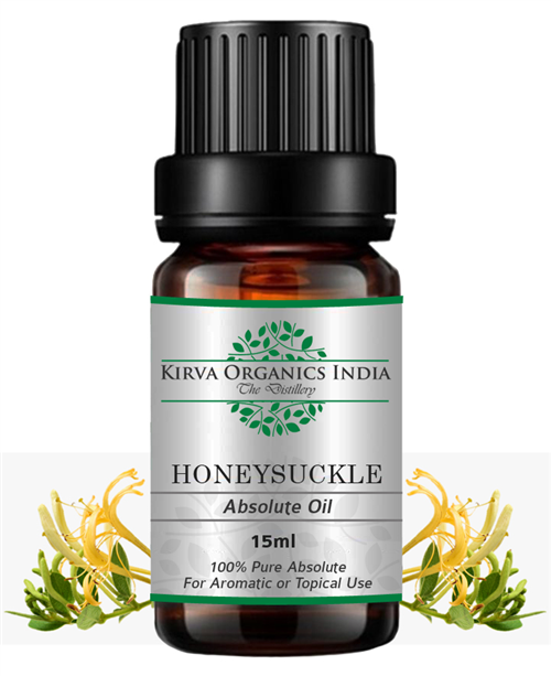 HONEYSUCKLE ABSOLUTE OIL(BUY ONLINE) - Kirva Organics India