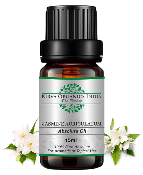 JASMINE AURICULATUM ABSOLUTE OIL(BUY ONLINE) - Kirva Organics India