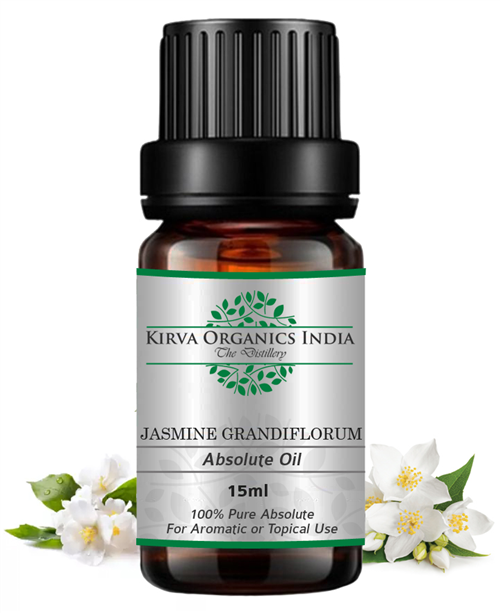 JASMINE GRANDIFLORUM ABSOLUTE OIL(BUY ONLINE) - Kirva Organics India