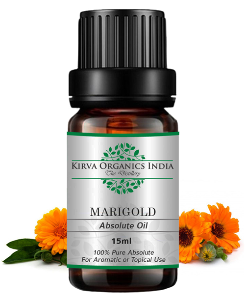 MARIGOLD ABSOLUTE OIL(BUY ONLINE) - Kirva Organics India