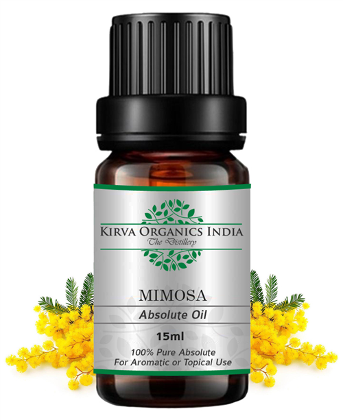 MIMOSA ABSOLUTE OIL(BUY ONLINE) - Kirva Organics India