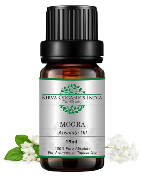 MOGRA ABSOLUTE OIL - Kirva Organics India