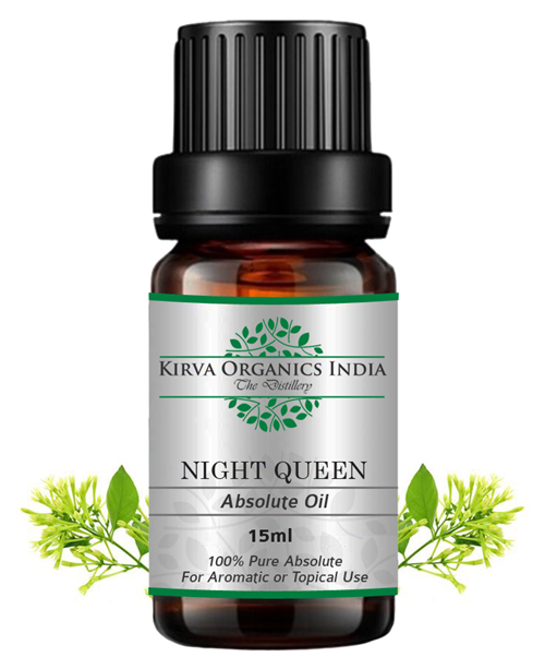 NIGHT QUEEN ABSOLUTE OIL - Kirva Organics India