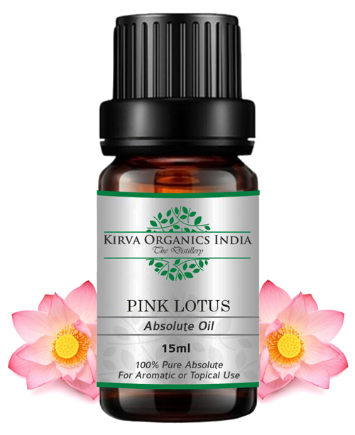 PINK LOTUS ABSOLUTE - Kirva Organics India