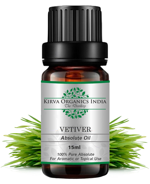 VETIVER ABSOLUTE OIL | RUHKHUS (GREEN) - Kirva Organics India
