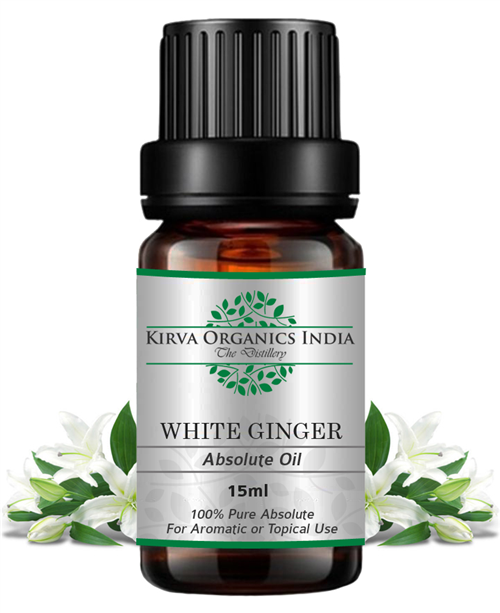 WHITE GINGER LILLY ABSOLUTE OIL - Kirva Organics India