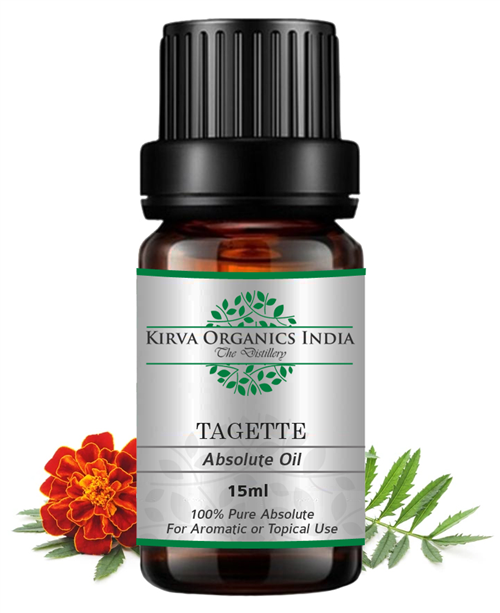 TAGETTE ABSOLUTE OIL(BUY ONLINE) - Kirva Organics India