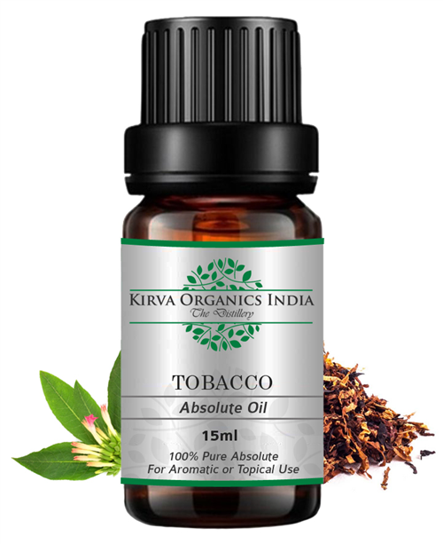 TOBACCO ABSOLUTE OIL(BUY ONLINE) - Kirva Organics India