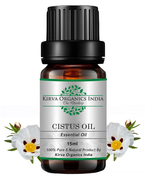 CISTUS OIL - Kirva Organics India