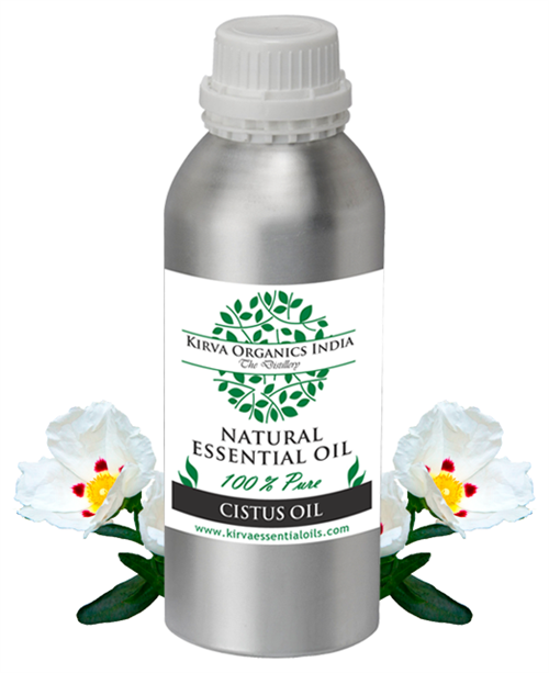 CISTUS OIL - Kirva Organics India